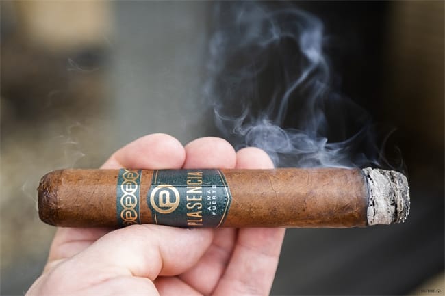 plasencia alma fuerte review5